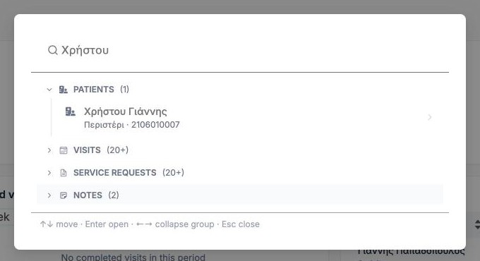 The search window showing a patient result